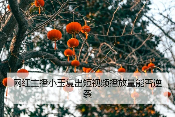 wang-hong-zhu-bo-xiao-yu-fu-chu-duan-shi-pin-bo-fang-liang-neng-fou-ni-xi-2-453.jpg